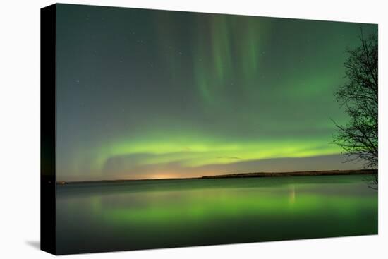 Northern Lights Reflecting in the Water with a Tree Silhouette-Brent Beach-Premier Image Canvas