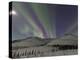 Northern Lights, White Mountain National Recreation Area, Alaska, USA-Hugh Rose-Premier Image Canvas