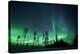 Northern Lights-Jeremy Walker-Premier Image Canvas