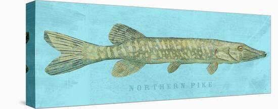 Northern Pike-John Golden-Stretched Canvas