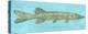 Northern Pike-John Golden-Stretched Canvas