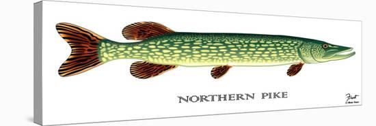 Northern Pike-Mark Frost-Premier Image Canvas