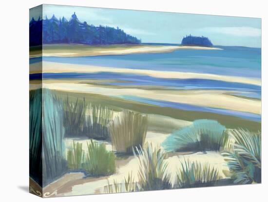 Northern Shore-Cathe Hendrick-Stretched Canvas