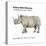 Northern White Rhinoceros (Ceratotherium Simum Cottoni), Mammals-Encyclopaedia Britannica-Stretched Canvas