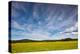 Northern Wisconsin Field-Steve Gadomski-Premier Image Canvas