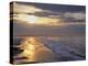 Northumberland Beach-Joe Cornish-Premier Image Canvas