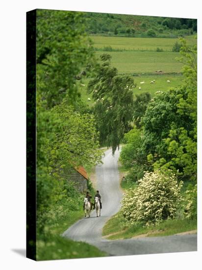 Northumberland, Harbottle, Horseriding Along a Country Lane, England-Paul Harris-Premier Image Canvas