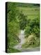 Northumberland, Harbottle, Horseriding Along a Country Lane, England-Paul Harris-Premier Image Canvas