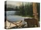 Northwoods Bear Crop-David Cater Brown-Stretched Canvas