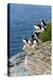 Norway, Finnmark, Loppa. Atlantic Puffin at their nesting cliffs.-Fredrik Norrsell-Premier Image Canvas