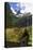 Norway. Jostedalsbreen National Park Cabin-Kymri Wilt-Premier Image Canvas