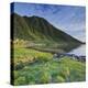 Norway, Nordland, Lofoten, Myrlandsfjorden-Rainer Mirau-Premier Image Canvas