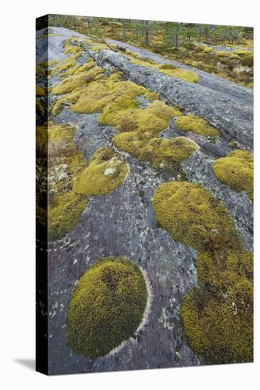 Norway, Northern Country, Moss, Rock-Rainer Mirau-Premier Image Canvas