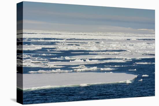 Norway. Svalbard. Hinlopen Strait. Drift Ice Extending to the Horizon-Inger Hogstrom-Premier Image Canvas