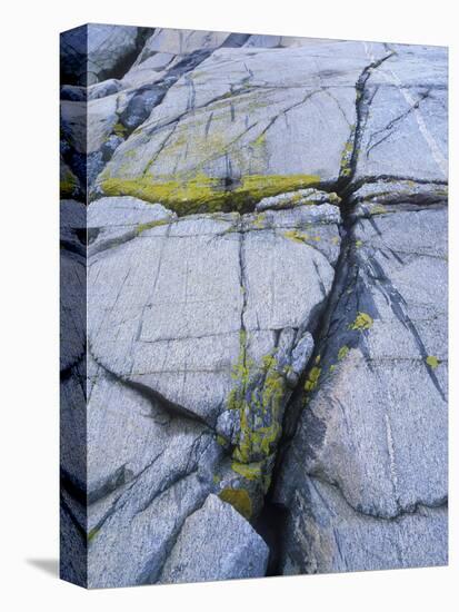 Norway, Telemark, the North Sea, Skagerak, Portšr, Lichen-Covered Rocks-Andreas Keil-Premier Image Canvas