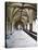 Norwich Cathedral Cloisters, Norwich, Norfolk, England, United Kingdom, Europe-Mark Sunderland-Premier Image Canvas