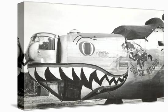 Nose Art, Boise Bronc-null-Stretched Canvas