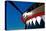 Nose Art on a Curtiss P-40E Warhawk-null-Premier Image Canvas