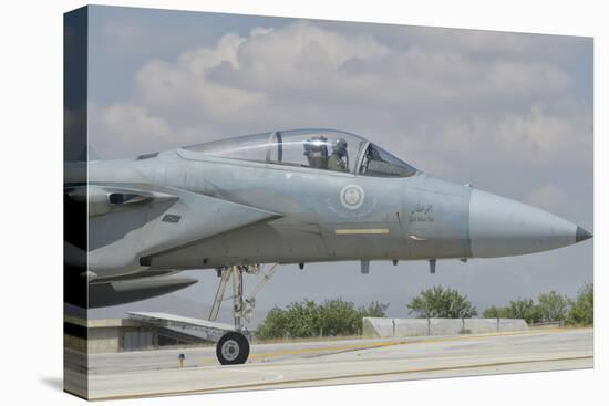 Nose Cone of a Royal Saudi Air Force F-15C-Stocktrek Images-Premier Image Canvas