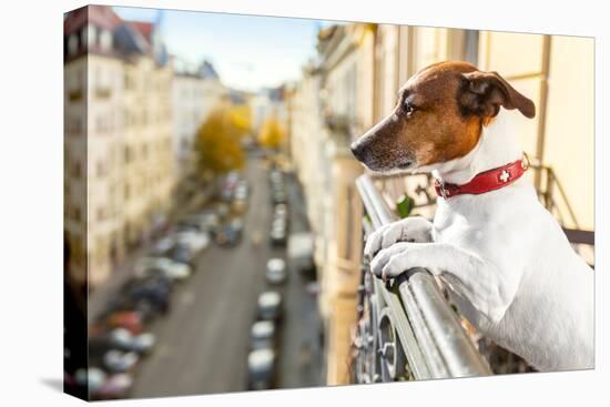 Nosy Watching Dog-Javier Brosch-Premier Image Canvas