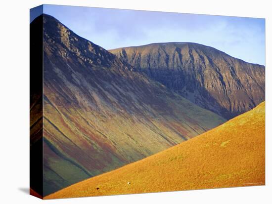 Not Rigg and Crag Hill, Newlands Valley, Lake District, Cumbria, England, UK-Neale Clarke-Premier Image Canvas