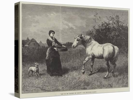 Not to Be Caught by Chaff-Heywood Hardy-Premier Image Canvas