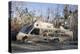 Note Written by Hurricane Katrina Victims on Vehicle Damged by Hurricane-John Cancalosi-Premier Image Canvas