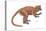 Notharctus, Extinct Lemur, Mammals-Encyclopaedia Britannica-Stretched Canvas