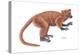 Notharctus, Extinct Lemur, Mammals-Encyclopaedia Britannica-Stretched Canvas