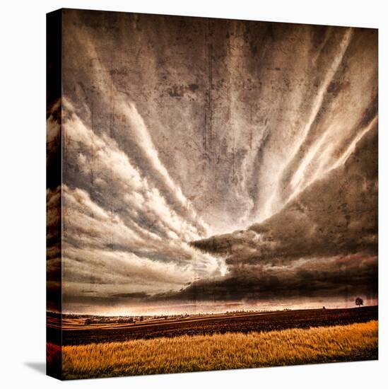 Nothing to Fear-Philippe Sainte-Laudy-Premier Image Canvas