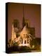Notre Dame Cathedral Lit at Night, Paris, France-Jim Zuckerman-Premier Image Canvas