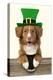 Nova Scotia Duck Tolling Retriever Sitting-null-Premier Image Canvas