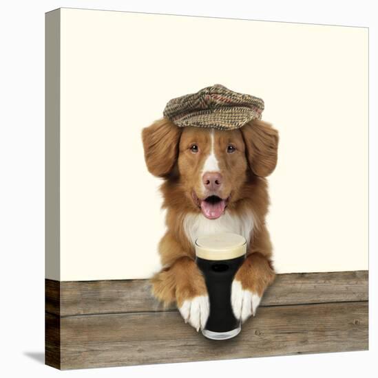 Nova Scotia Duck Tolling Retriever Wearing-null-Premier Image Canvas