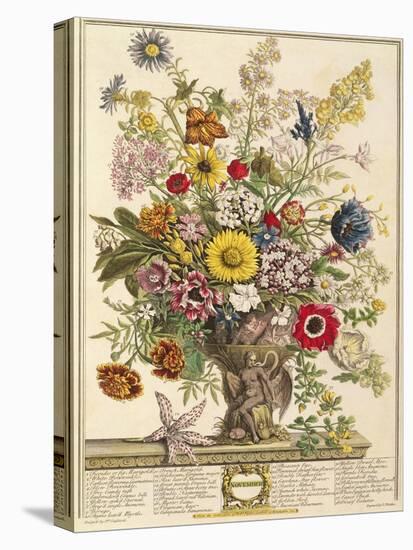 November, from 'twelve Months of Flowers' by Robert Furber (C.1674-1756) Engraved by Henry Fletcher-Pieter Casteels-Premier Image Canvas