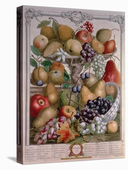 November, from 'Twelve Months of Fruits'-Pieter Casteels-Premier Image Canvas