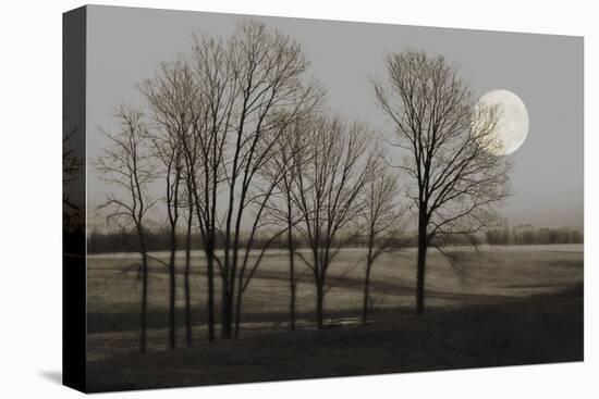 November Moon-Heather Jacks-Stretched Canvas