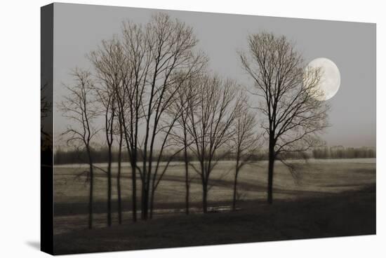 November Moon-Heather Jacks-Stretched Canvas