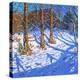 November Snow, Allestree Park, Derby, 2017-Andrew Macara-Premier Image Canvas