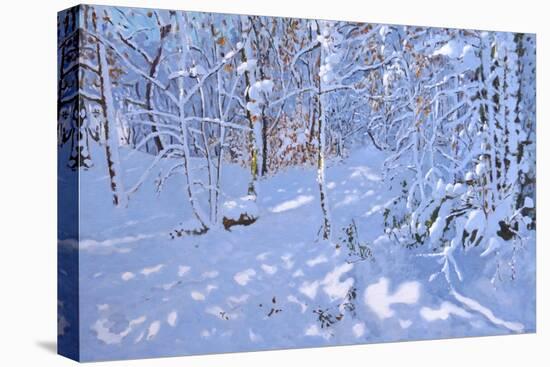 November Snow,Allestree Woods,Derby-Andrew Macara-Premier Image Canvas