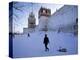 Novodevichy, Moscow, Russia-Demetrio Carrasco-Premier Image Canvas