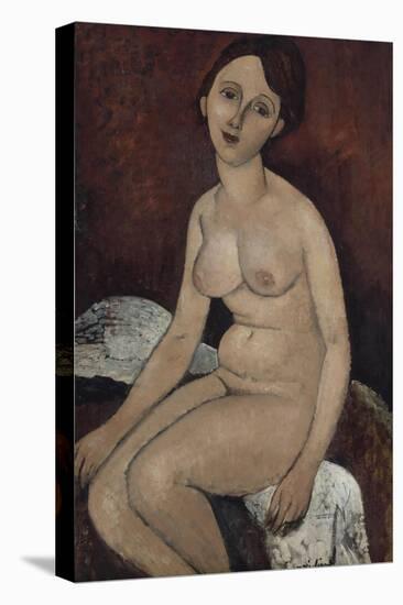 Nu assis-Amedeo Modigliani-Premier Image Canvas