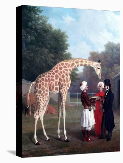 Nubian Giraffe-Jacques-Laurent Agasse-Premier Image Canvas