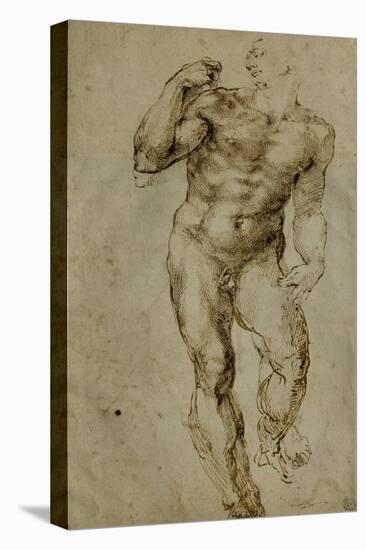 Nude Male Figure Seen Frontally, circa 1502-1506-Michelangelo Buonarroti-Premier Image Canvas