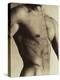 Nude Man's Torso-Cristina-Premier Image Canvas