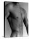 Nude Man's Torso-Cristina-Premier Image Canvas