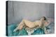 Nude on Leopard Skin, Le Cannet, 1926 (Oil on Canvas)-Henri Lebasque-Premier Image Canvas