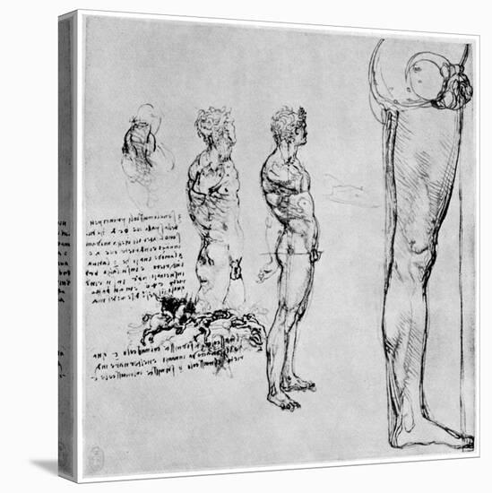 Nude Studies for 'The Battle of Anghiari, C1503-1505-Leonardo da Vinci-Premier Image Canvas