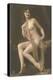 Nude Woman with Wrap-null-Stretched Canvas