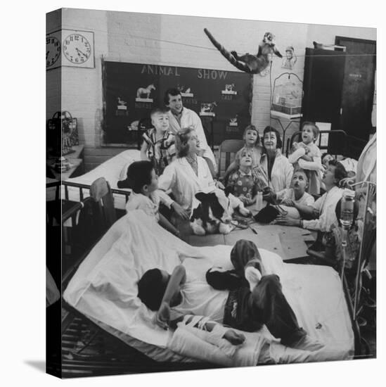 Nurses and Animals Watching One of the Hospital's Methods of Using Therapy with Animals-Francis Miller-Premier Image Canvas