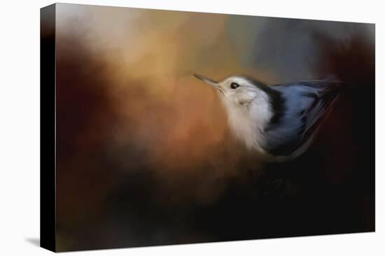 Nuthatch in Autumn-Jai Johnson-Premier Image Canvas